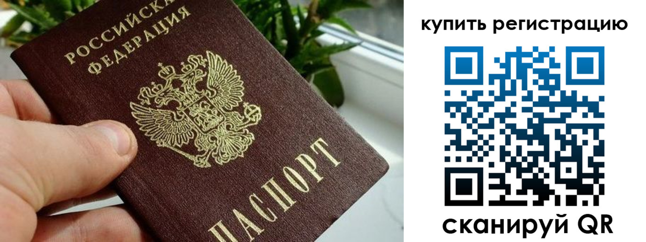 прописка гарантия в Шарыпово